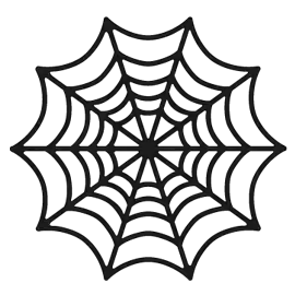 Spider Web